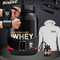 Starter Gear Pack - Gold Standard Whey Protein + Gymreapers Quick Locking Weightlifting Belt + Gymreapers Listing Straps + JUYICOLEX Wrist Wraps + MASS Monster Hoodie + Mini Keychain Protein Container